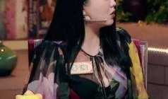 陈佳慧耍大牌爆料者视频,揭秘爆料者视频背后的真相